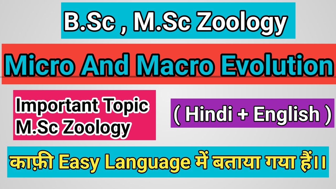 Micro And Macro Evolution M.Sc Zoology || micro and macro evolution in ...