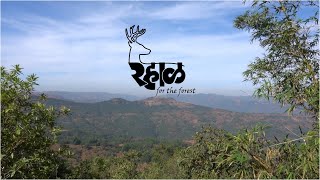 Rahal For The Forest