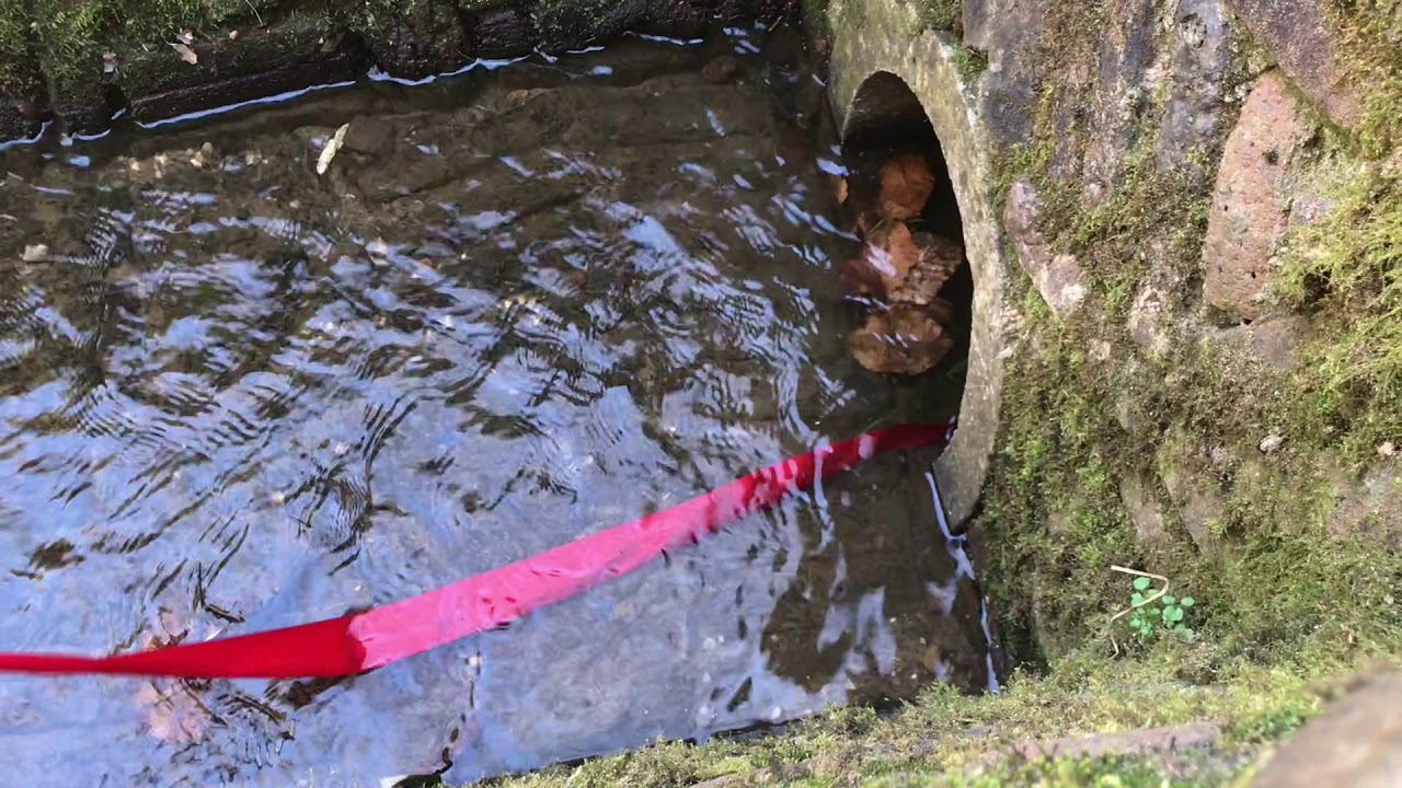 Rode lint volgt beek