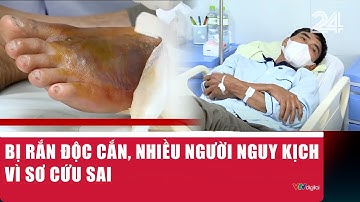 Bị rắn độc cắn, nhiều người nguy kịch vì sơ cứu sai | VTV24
