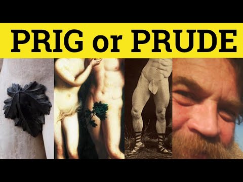 Video: Who Is A Prude
