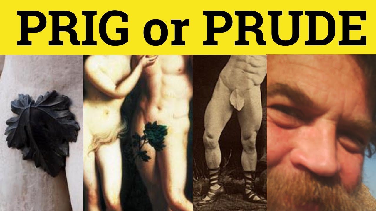 🔵 Prig or Prude - Priggish or Prudish - Prig Meaning - Prude Examples - Priggish in a Sentence