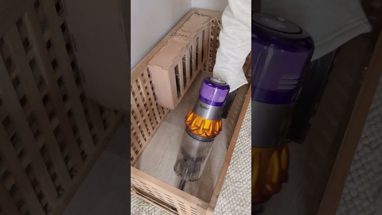 ASMR refresh before decorating the bunny room for Christmas 🎄 | Indoor Bunnies | Clean with Me 