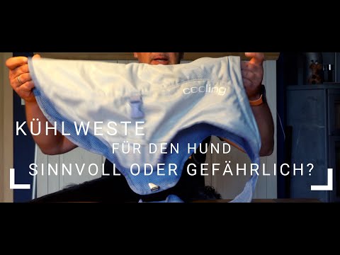 Die Kühlweste für den Hund - Sinnvoll oder gefährlich