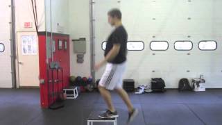 Reactive Step Up Marshfield Belley Fitness
