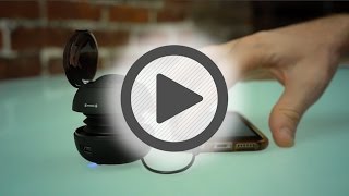 X-Mini Capsule Speaker – Pep Boys