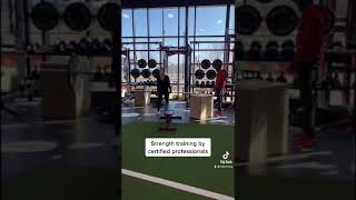 Welcome to D1 Training