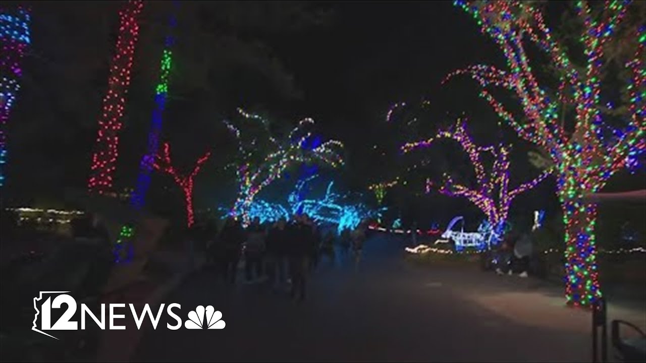 Zoo lights start tonight at the Phoenix Zoo