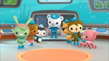 OCTONAUTS SERIES 5 CREATURE REPORT OFFICIAL ENGLISH THE BLUE WHALE RESCUE The BIG Octonauts Channel