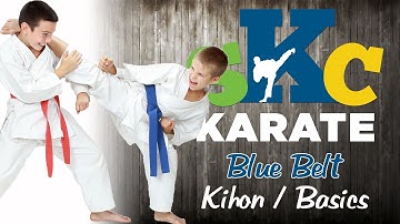 Karate Shotokan Blue Belt Basics kihon