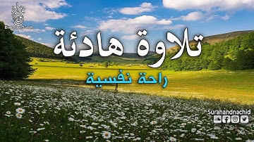 تلاوة هادئة تريح الاعصاب وتهدا النفس | قران كريم بصوت جميل جدا جدا - أرح سمعك وقلبك