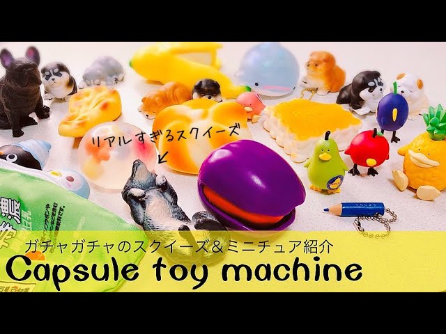 squishy】ガチャのスクイーズやミニチュア大量紹介【購入品】 - YouTube
