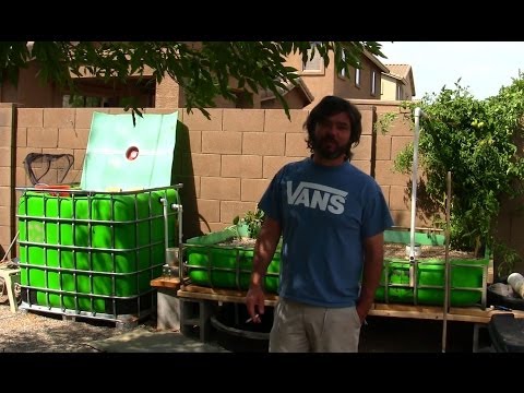 Building an ibc aquaponic system FunnyCat.TV