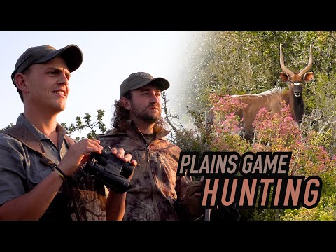 African Plains Game Hunting: The ULTIMATE Compilation | 50+ Shots in 4K