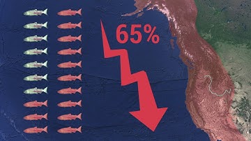 Rethinking Strategies for Increasing Salmon Survival: What Do the Data Say?