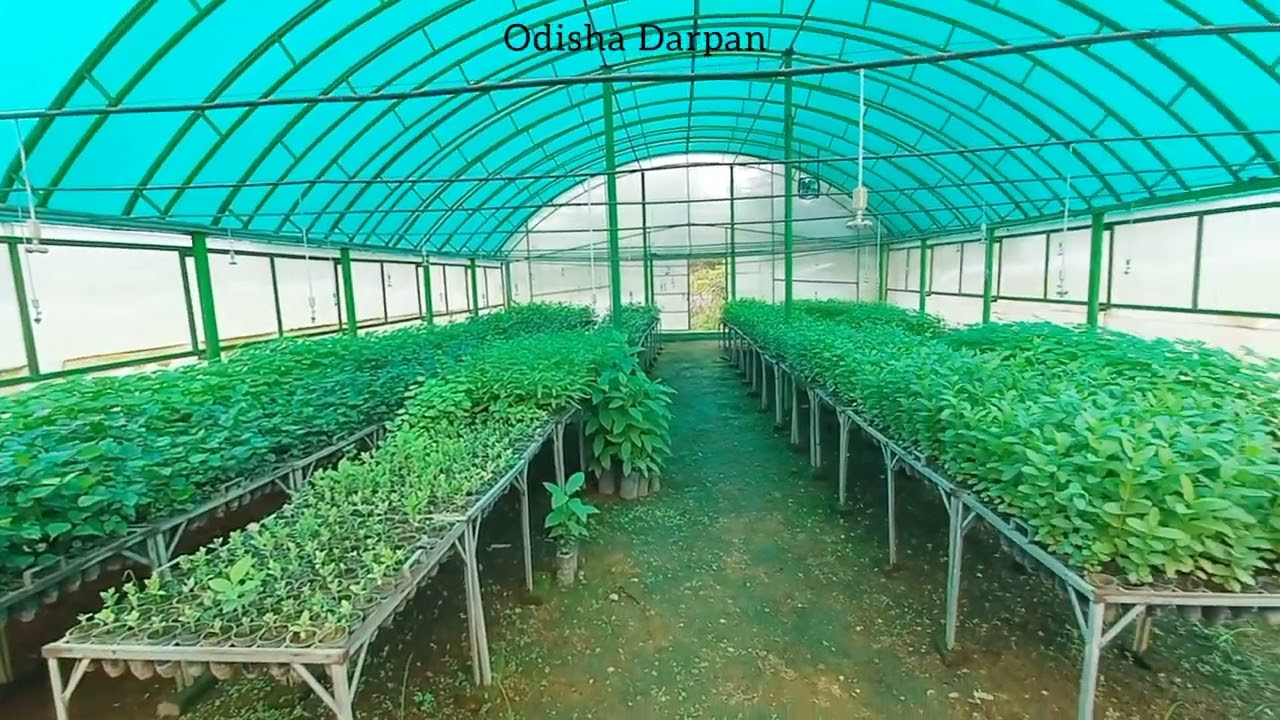 Odisha Travel Vlog | Sankhabhanga Forest Department | Baripada | Mayurbhanj..