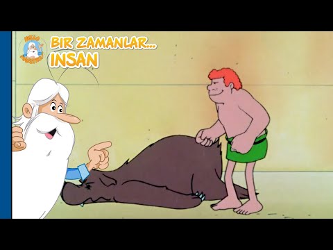 Bir Varmış Bir Yokmuş… İnsan | HAYAT BOYUNCA HAYVANLAR | Bölüm Derlemesi | 60+ DAKİKA