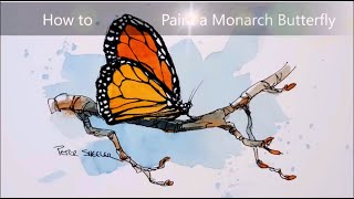 A line and wash watercolour of a Monarch Butterfly. Simple, fun and easy to follow. Peter Sheeler