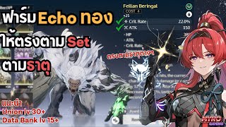 Wuthering Waves | การฟาร์ม Echo ให้ตรง Set และ เลือก Echo Dmg ให้ตรงธาตุและ Set จาก Illusive Realm