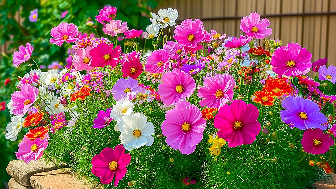 Beautiful Music for Mental Peace 🌸 Rest the Mind and Remove All ...