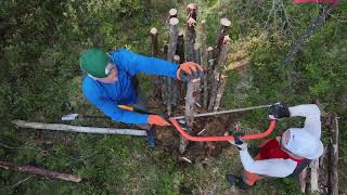 Episode 2 Reviving Wetlands Fighting Climate Change