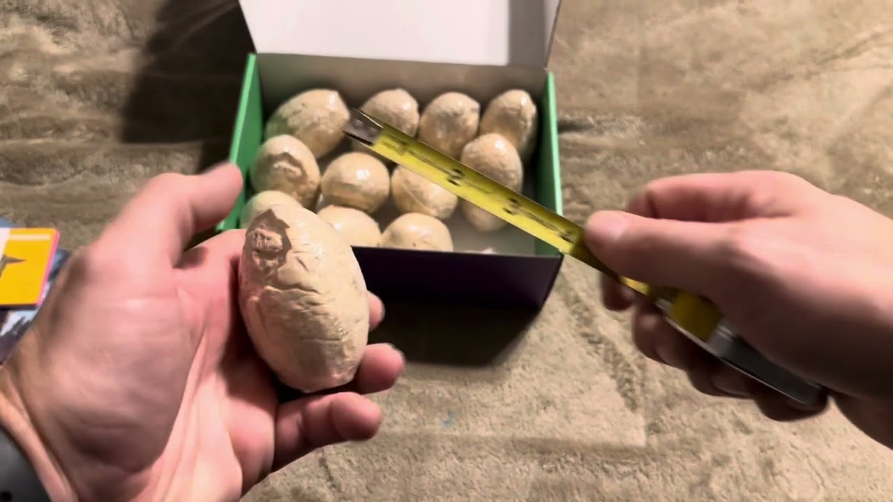 Real Review of Dig Up Dinosaur Fossil Egg Kit Toy Set
