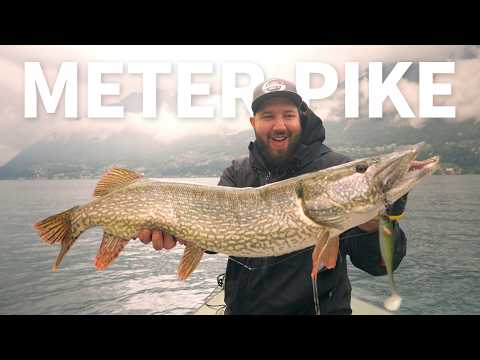 Stucki Fishing - YouTube