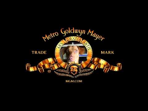 Rudy nel nuovo logo della Metro Goldwyn Mayer