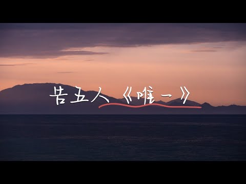 胡海泉希林娜依高- 唯一/告五人『我真的爱你 句句不轻易』【動態歌詞/Lyrics Music】♪