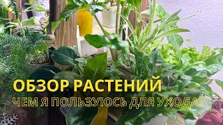 картинка: Обзор коллекции и аксессуары для ухода.