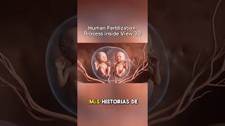 Medical 3D visualization for anatomy education." Educational medical 3D animation For learning purps