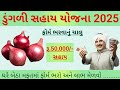 ડુંગળી સહાય યોજના 2025 || Dungli sahay gujarat || Ikhedut portal 2025 || #khedut #gujaratinews