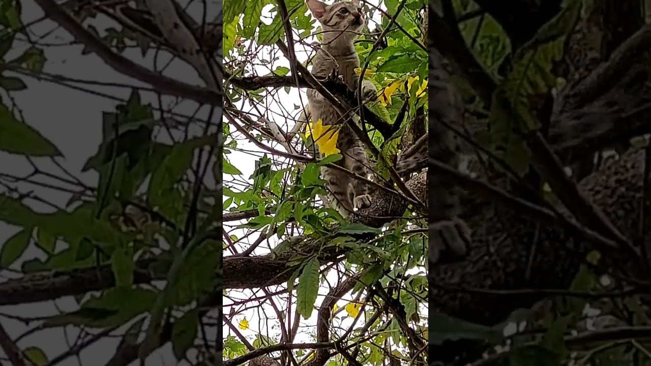 Favorite playtime 😍💕  