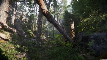 Book Of The Dead: Environment (Unity Tech Demo) (4K UHD)