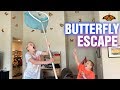 Butterfly Habitat Escape!!