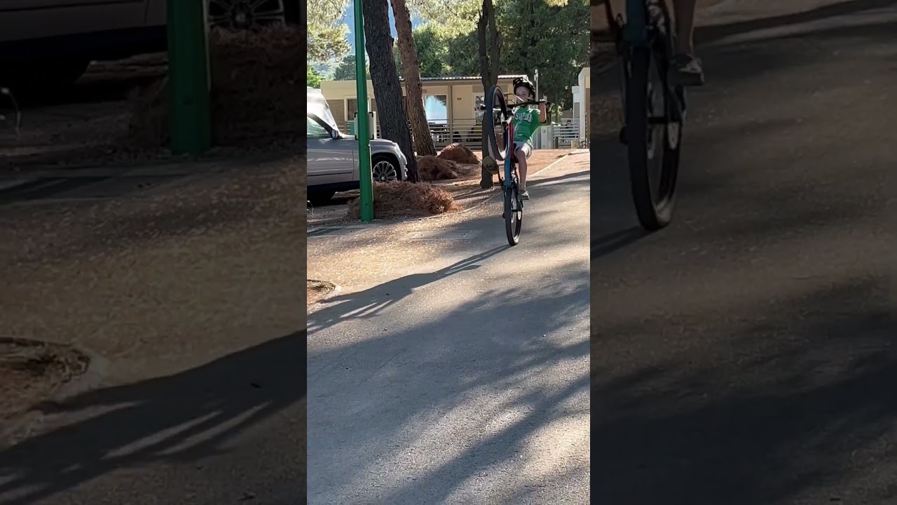 Wheelie and wheelie coaster 