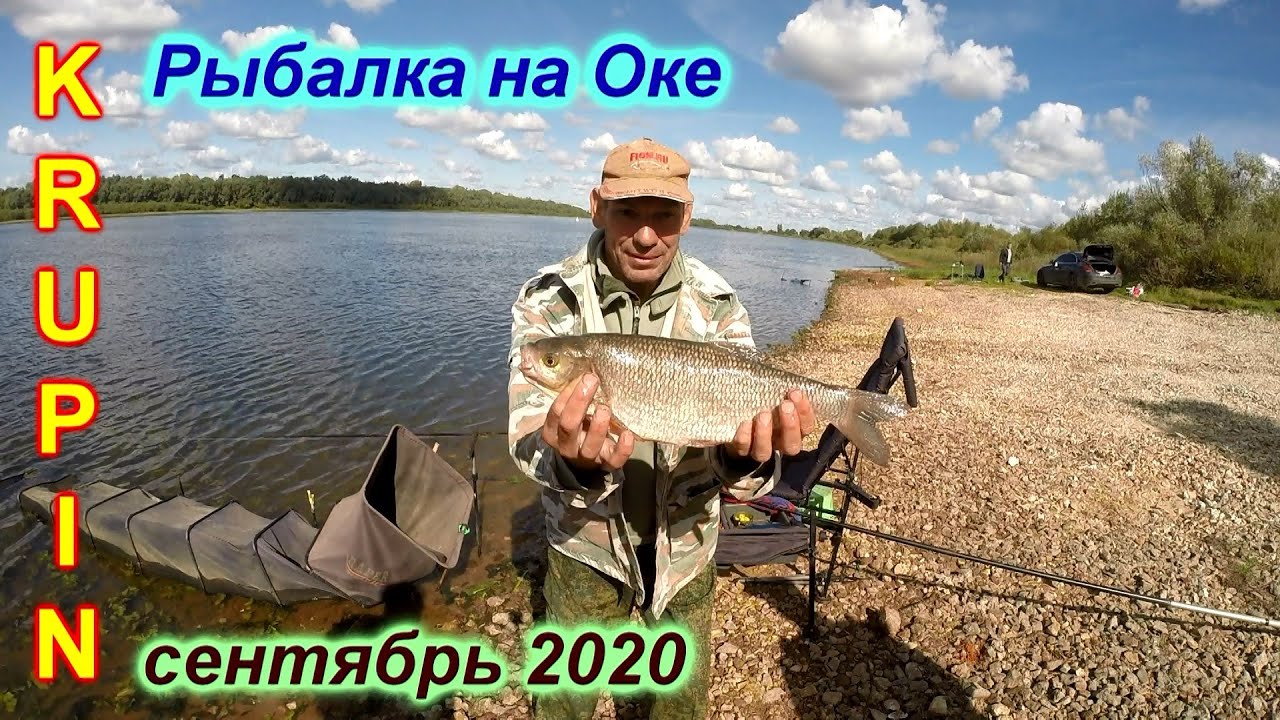 Ока рыбалка русфишинг