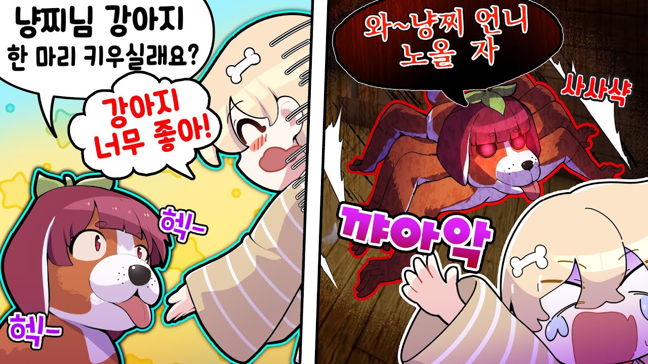 강아지 인데.. 소름돋습니다 기괴한 집에 나타난 징그러운 거미 ㄷㄷ