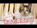 【抱抱米香EP1】米香的真面目！原來米香私底下...