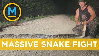 Celebrity Watch these guys wrestle and capture a massive Burmese Python in Florida | Your Morning Wealth