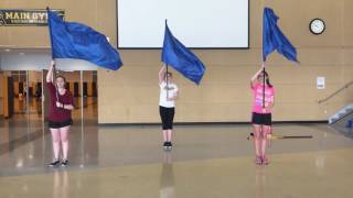 Metea Valley Color Guard: Fight Song Routine