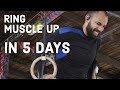 Learning the Ring Muscle Up and Bar Muscle up! (In 5 days)