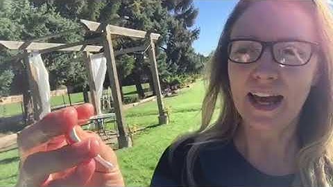 How to Test for Phosphates in Your Pool