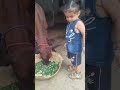 Mohe Nandi banaiyo #mahadevbhakt #subscribe #subscribemychannel #viralvideo#bholenathstatus