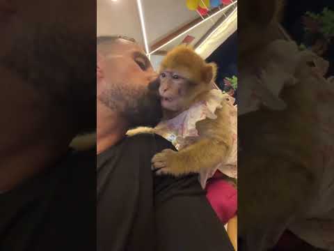 بداره القمر بتلعب معايه حيوانات ابو اسيا 