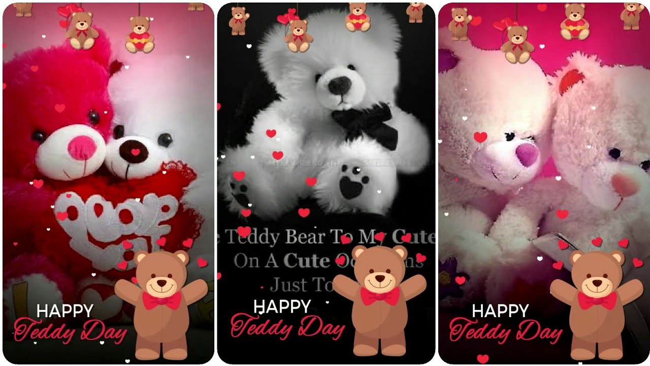 Happy Teddy Day - Full screen status - Teddy Day spacial whatsapp status - by Ilyas soneji