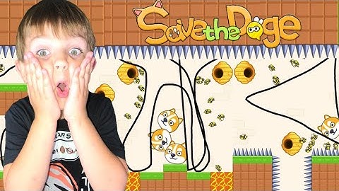 Save the Doge - Level 1-10