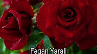 Feqan Yarali Vefasiz Doslar