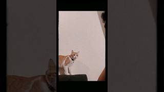 Hindi Siya Masaya Kahit Kinakantahan Na Siya Haha She Doesnt Look Happy Hearing Him Singing Haha