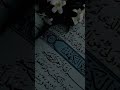 سورة الكهف. بصوت الشيخ علي الحذيفي #اشترك_بل_قناة_وفعلو_الجرس_ليصلكم_كل_جديد